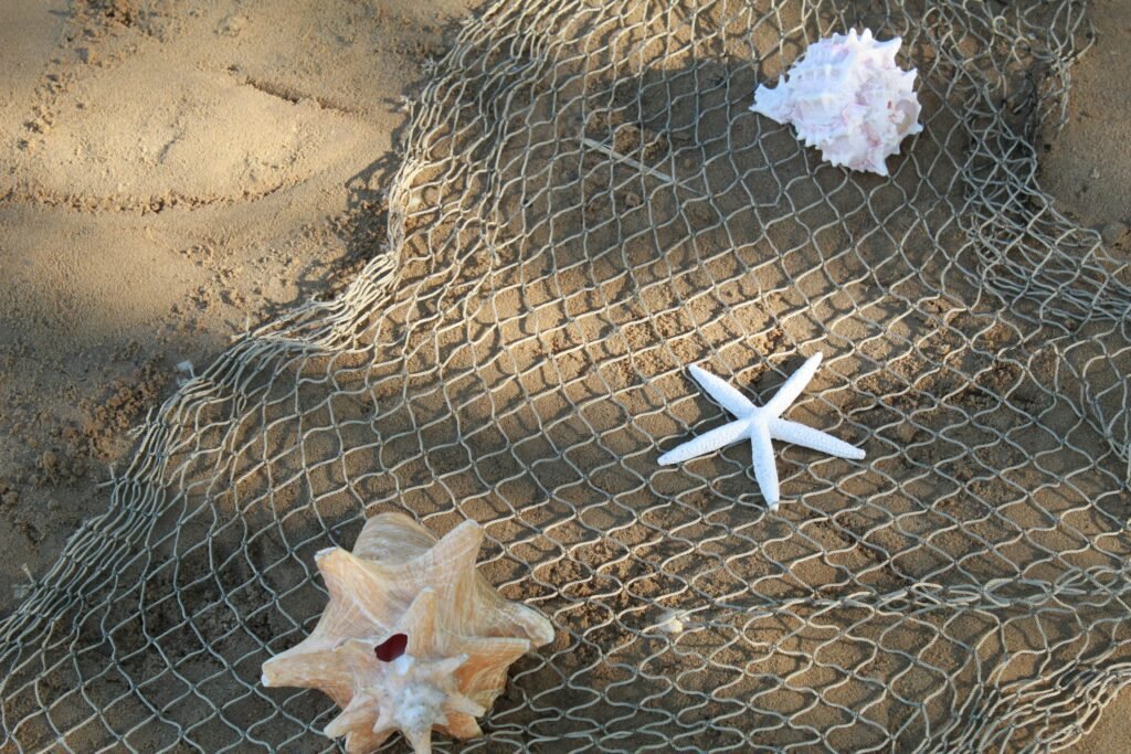 Fishing Net with Shells in Sand