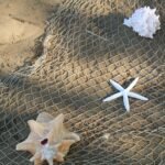 Fishing Net with Shells in Sand