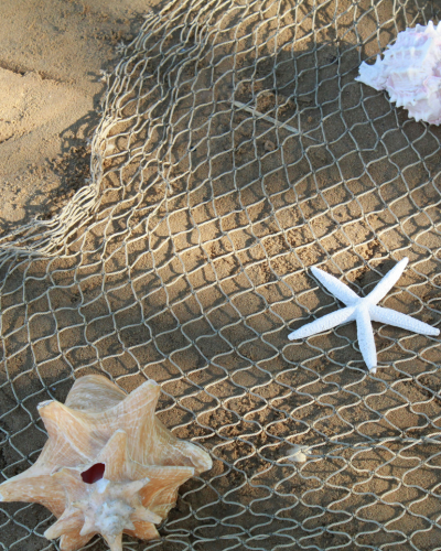 Seashells in a net on the sand, used to show a net that catches the best ideas in education