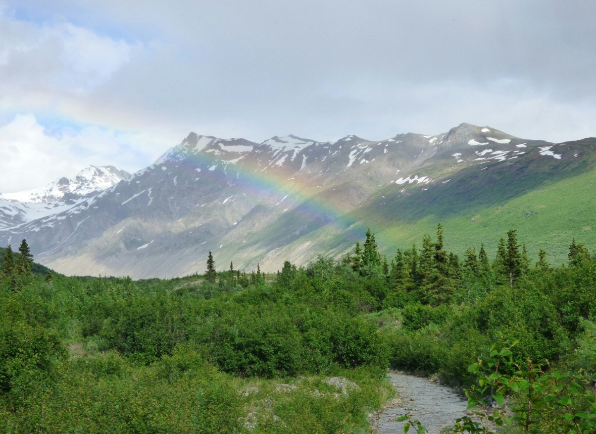 Image of rainbow over valley with mountains and a river among trees showing student empowerment represented by the rainbow