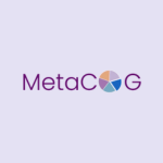 MetaCOG Online Surveys & Toolkit, an assessment system to identify students' strengths and challenges related to executive function strategy use, motivation, effort, and ability to persist across a range of academic contexts