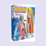 Squishy Human Body, education material by SmartLab, a resource for engaging science teaching