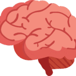 Assessment - Multiple Intelligences: Image of a coral-colored brain, signifying an assessment involving the multiple intelligences